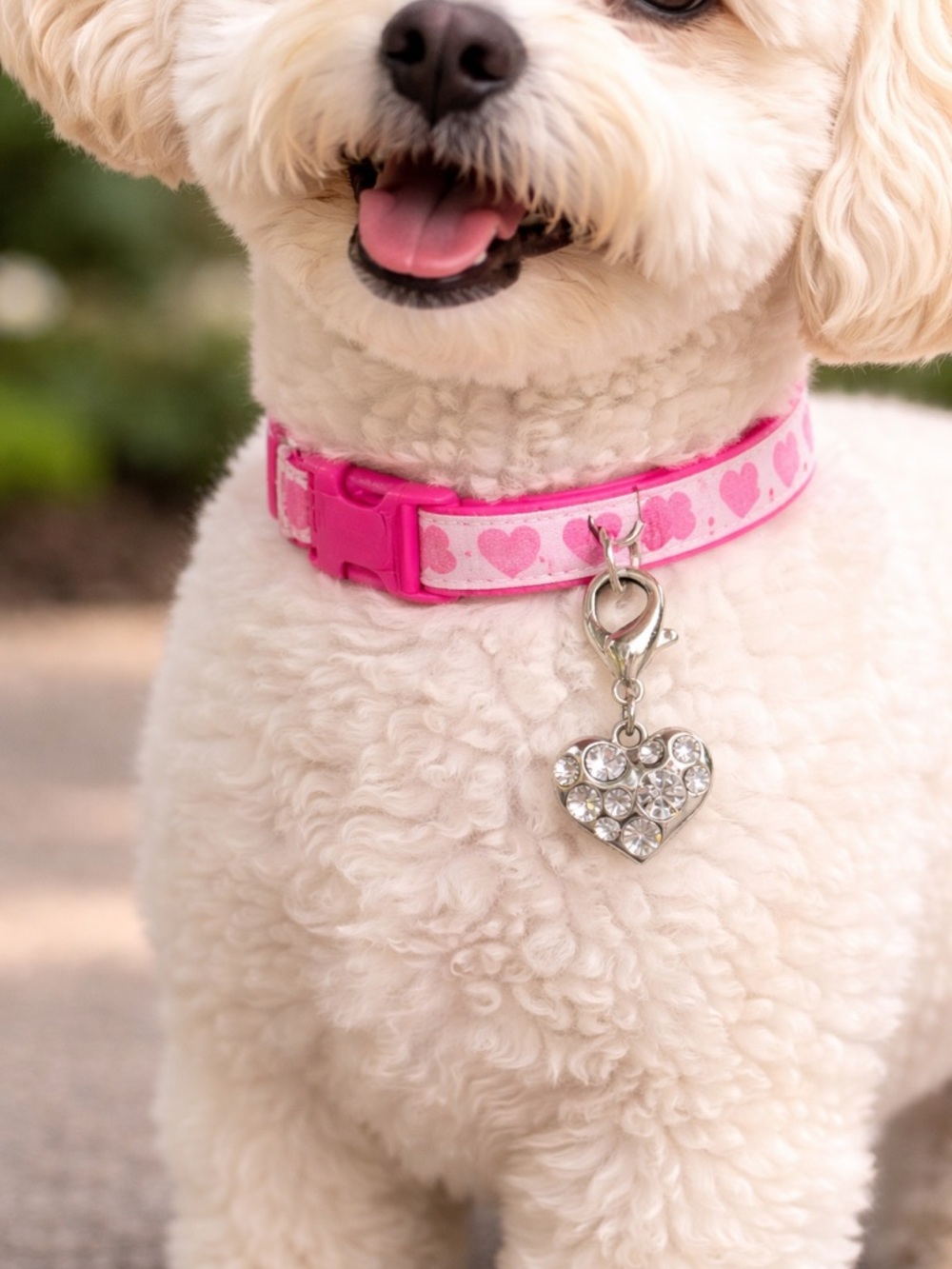 Silver Heart Pet Collar Charm